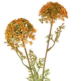 Wild Meadow Spray x 2 Orange image 1