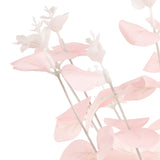 Eucalyptus Bush x 16 Pink image 1