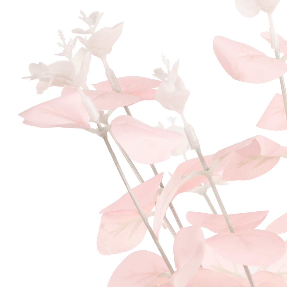 Eucalyptus Bush x 16 Pink image 1
