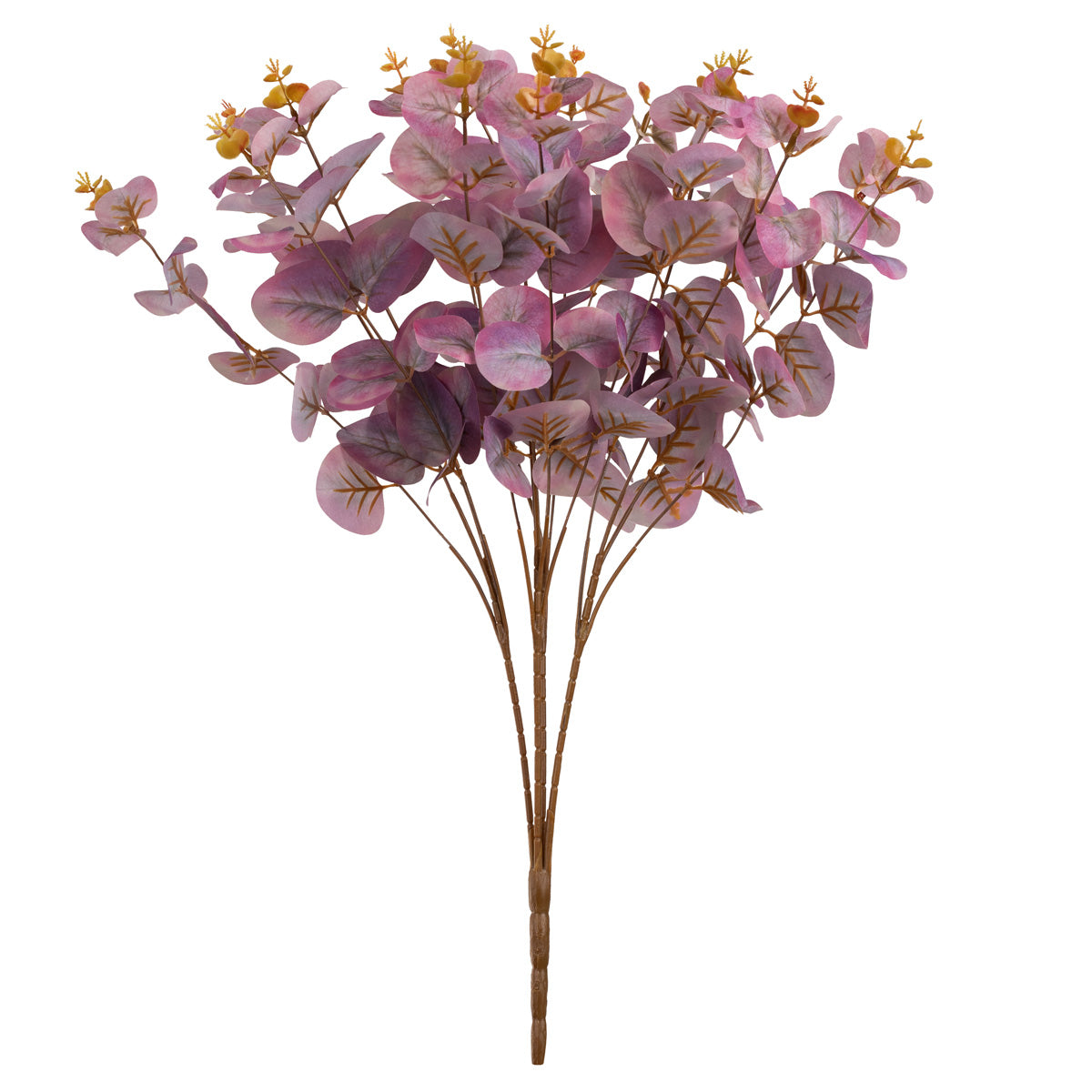 Eucalyptus Bush Mauve (16 Heads) image 0