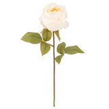 Dry Image Rose Linen White image 1