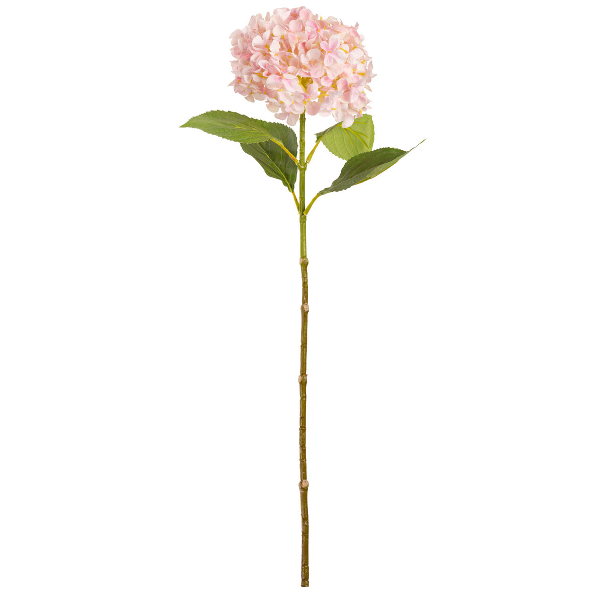 Hydrangea Stem Light Pink (19cm Head 66cm Stem) image 0