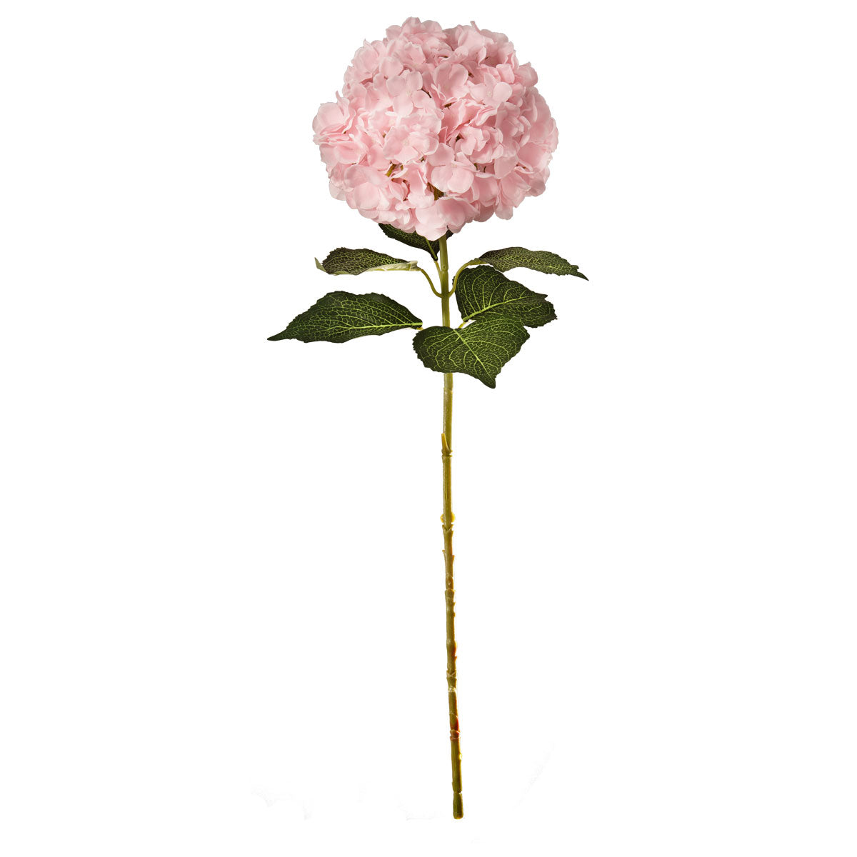 Large Head Hydrangea Light Pink 92cm image 0