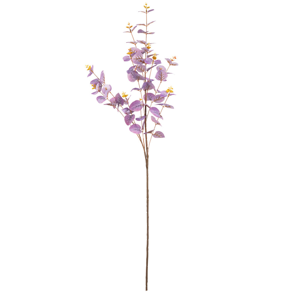 Eucalyptus Stem Purple image 0