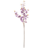 Eucalyptus Stem Purple image 0