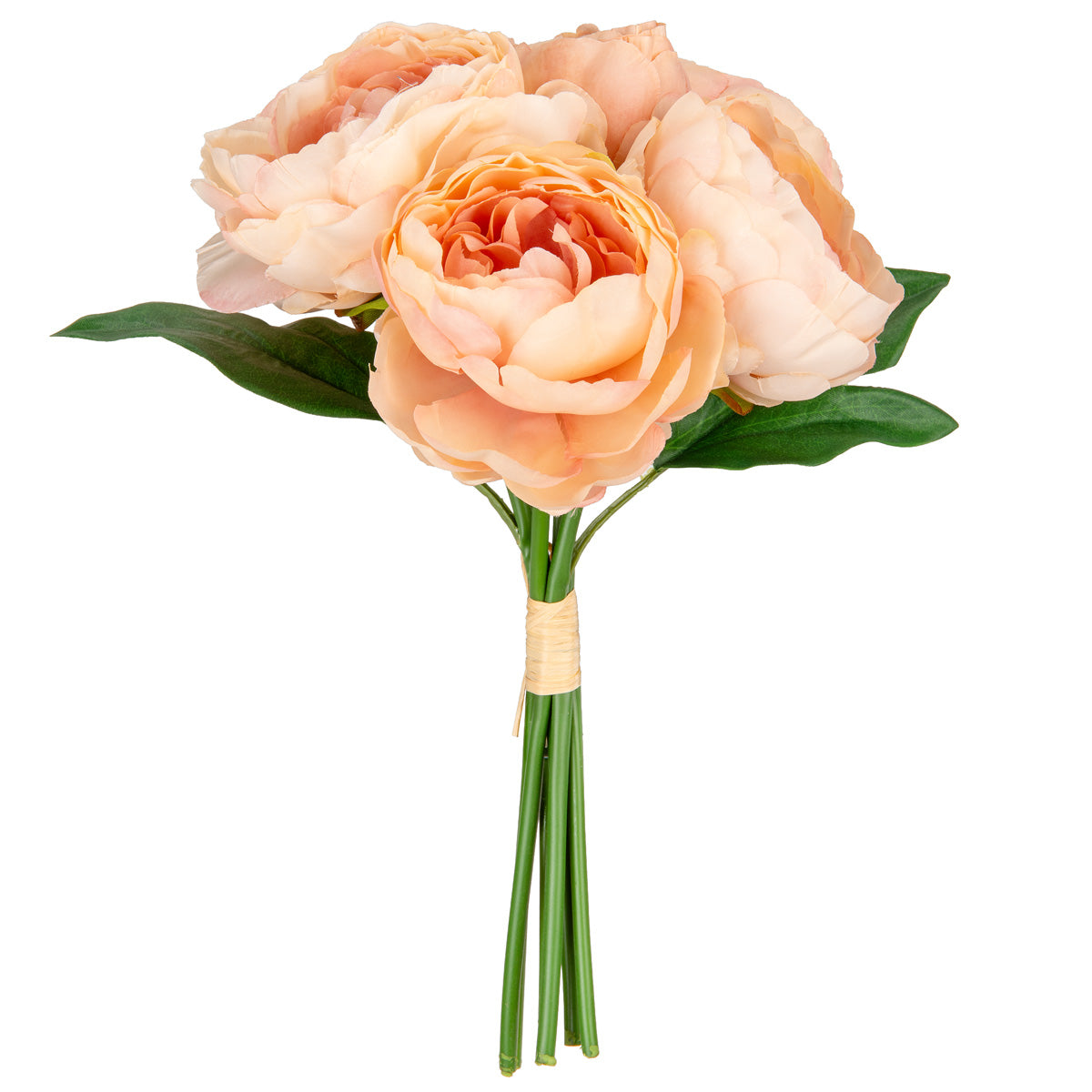 Princess Peony Bunch x 6 Dusky Pink image 1