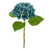 Small Head Hydrangea Blue Green image 1