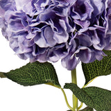 Large Head Hydrangea Lavender image 3