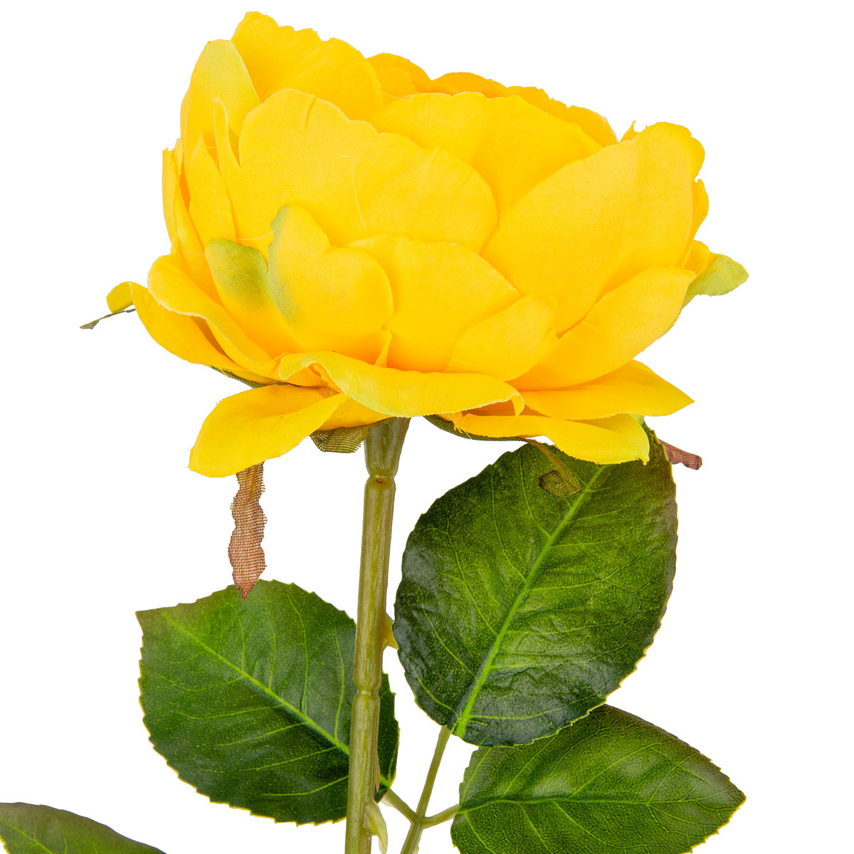 65cm Single Rose Yellow image 1