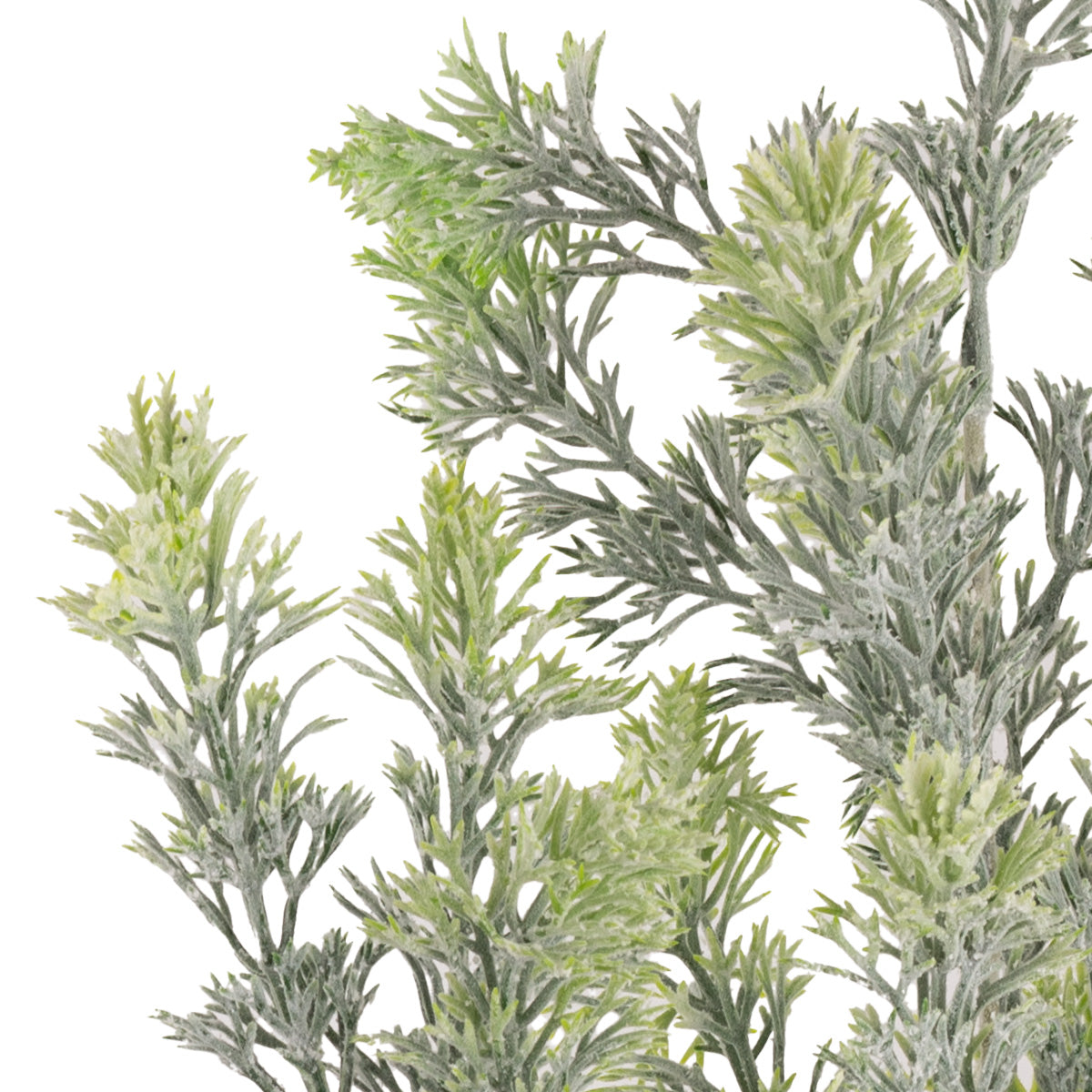 Plastic Two Tone Pine Spray image 1