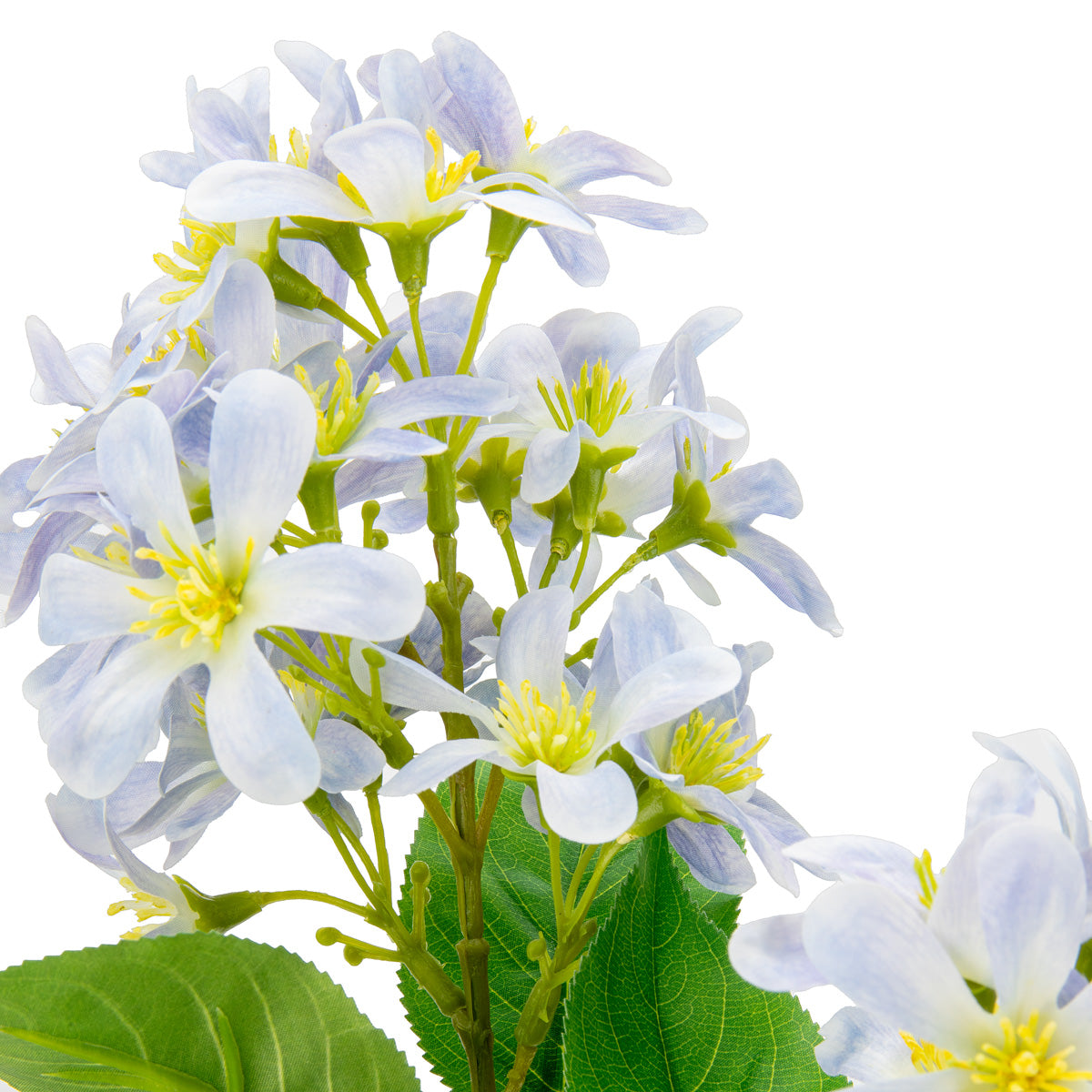 Vernicia Flower Spray x 2 Light Blue image 1