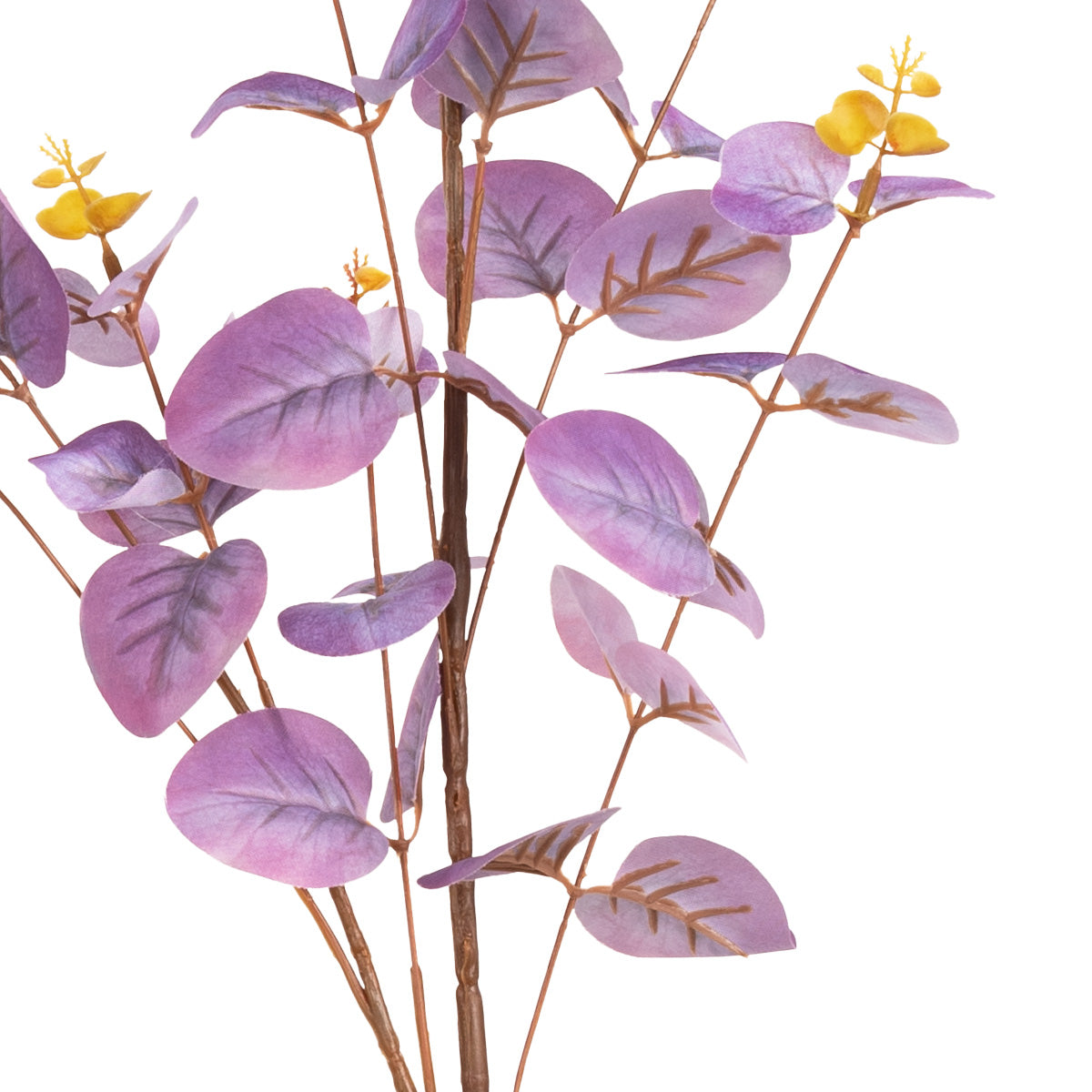 Eucalyptus Stem Purple image 2