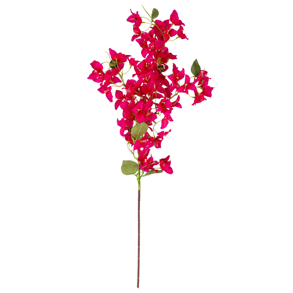 Bougainvillea Spray Pink