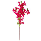 Bougainvillea Spray Pink