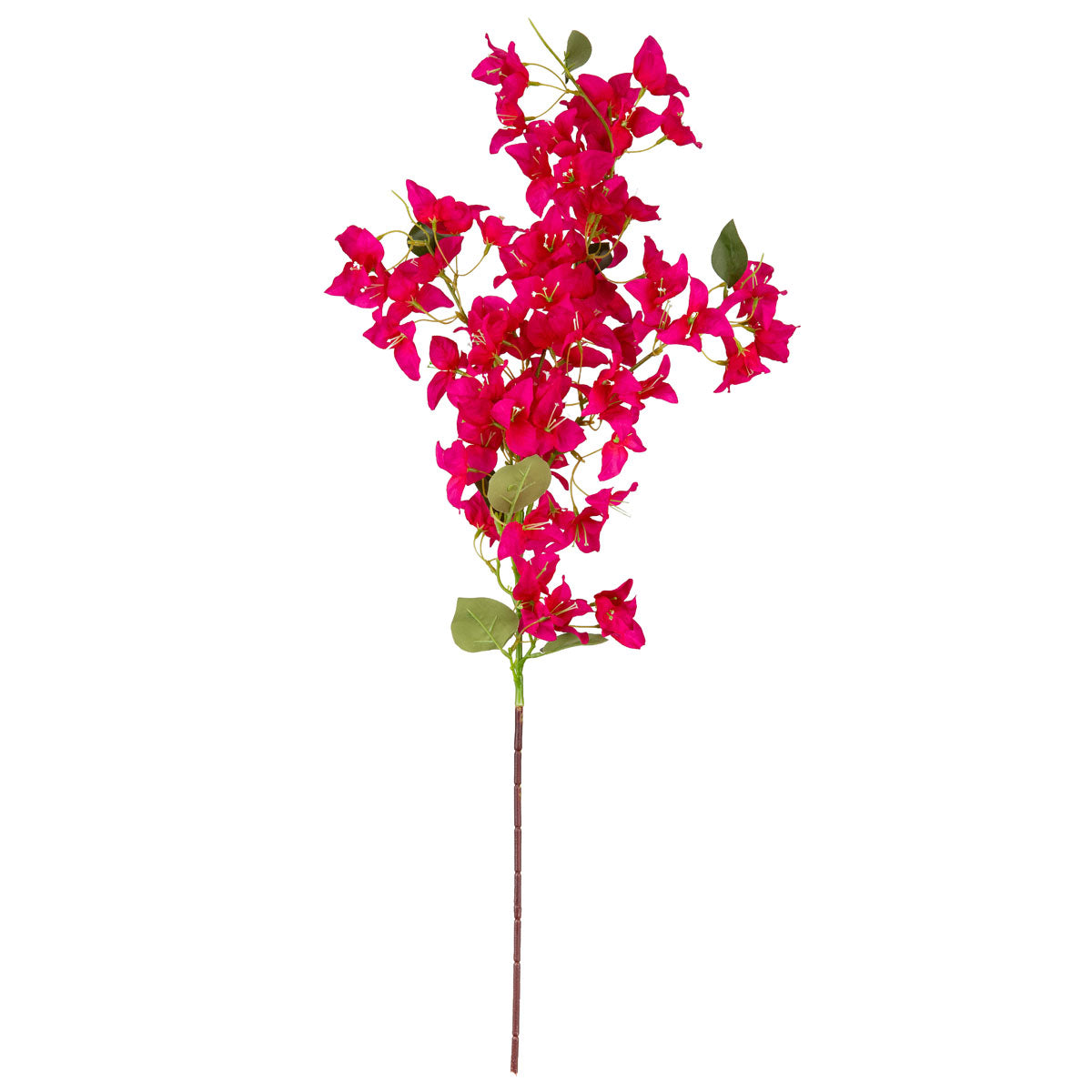 Bougainvillea Spray Pink