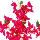 Bougainvillea Spray Pink