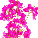 Bougainvillea Spray Dark Pink
