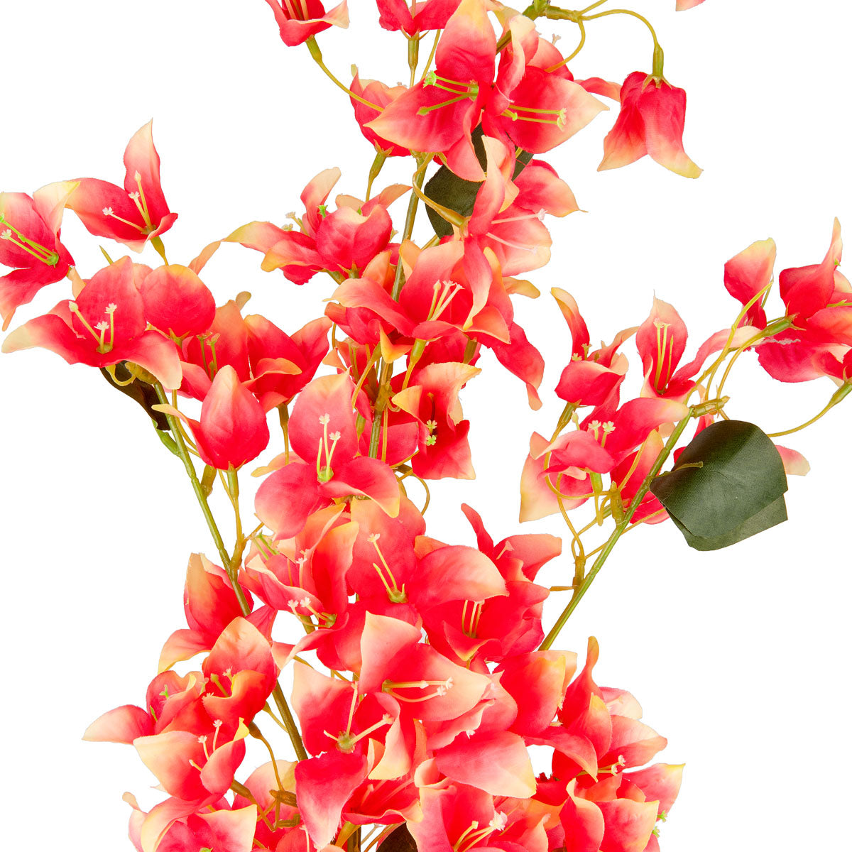 Bougainvillea Spray Fuchsia Pink