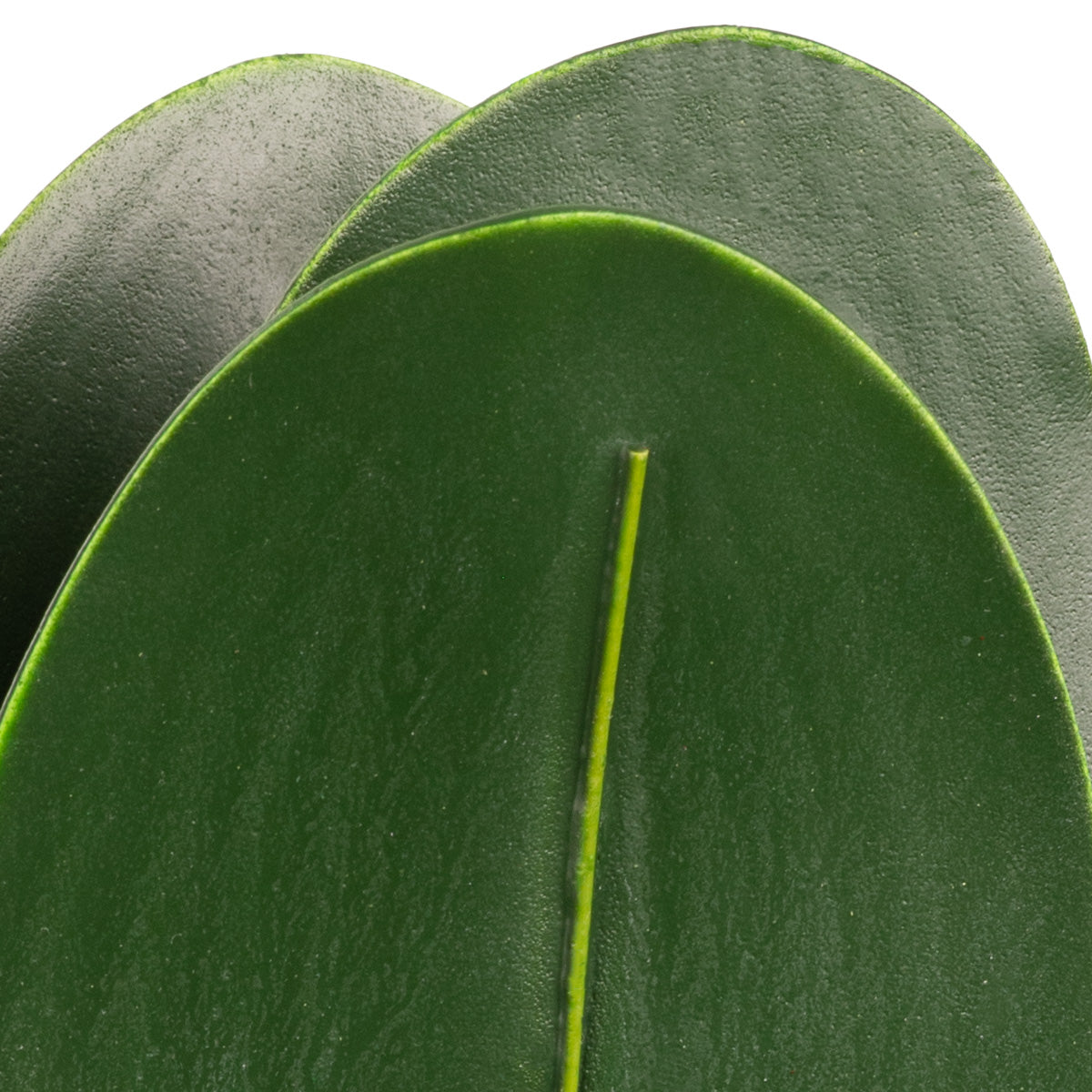 Orchid Leaf Bush image 2