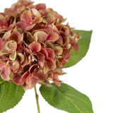Small Head Hydrangea Two Tone Green/Pink image 1