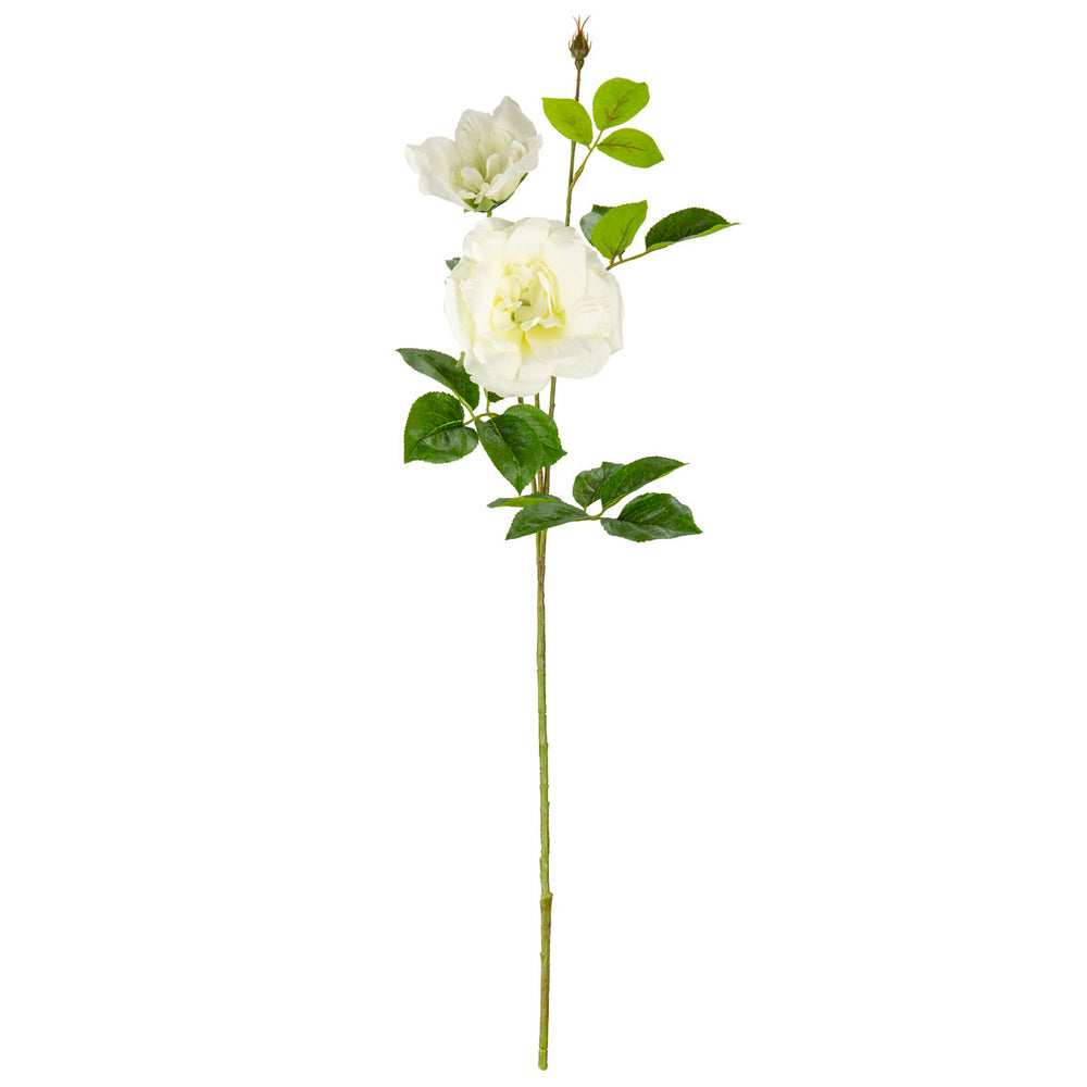 Matilda Rose Spray x 2 White