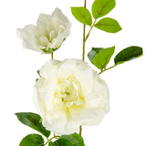 Matilda Rose Spray x 2 White