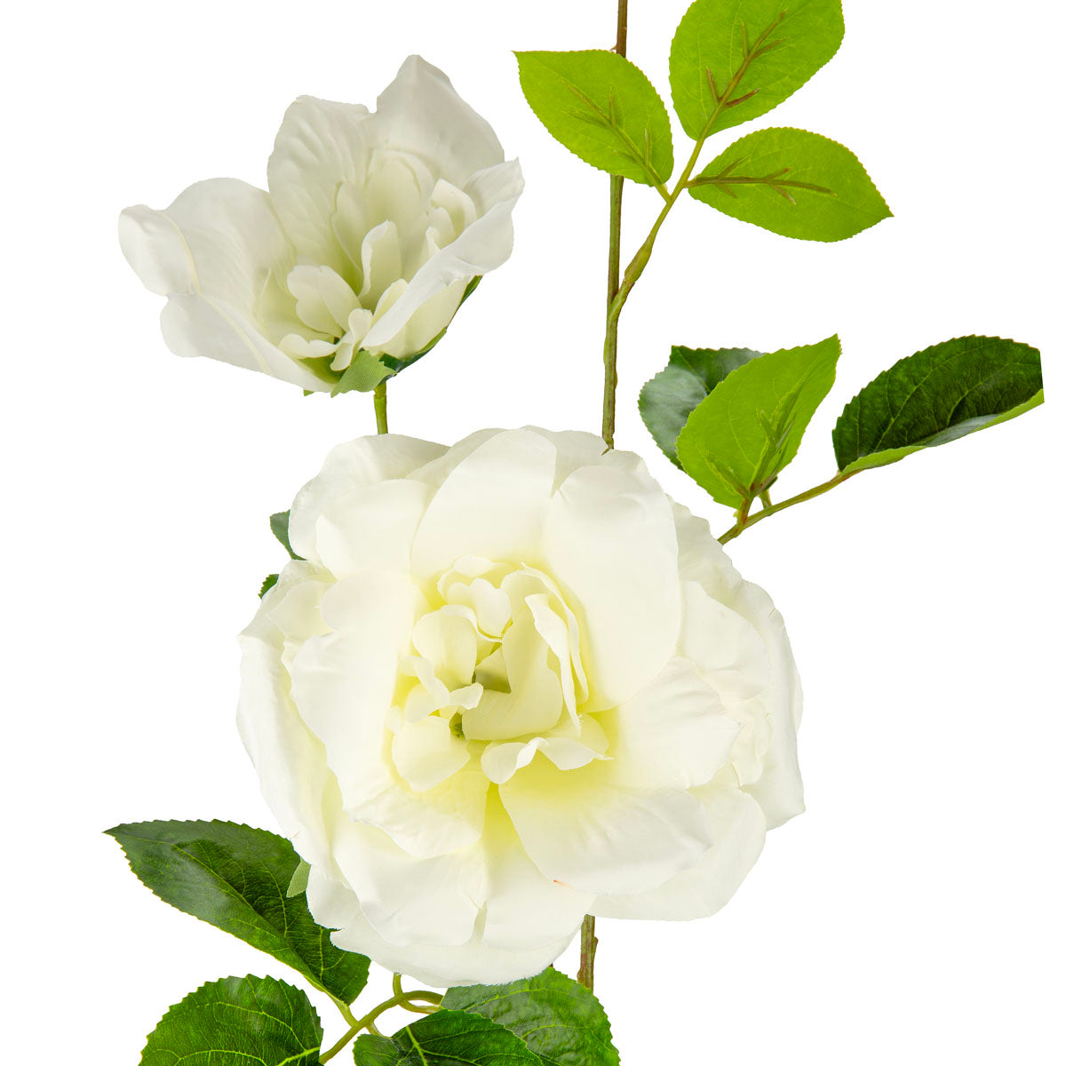 Matilda Rose Spray x 2 White