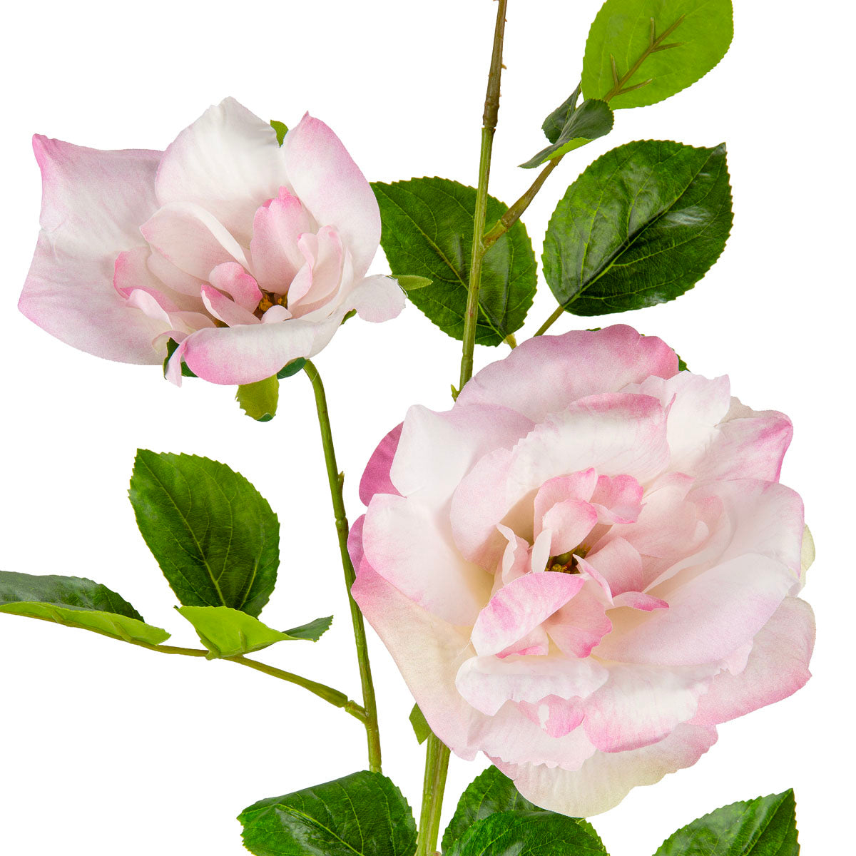 Matilda Rose Spray x 2 Pink