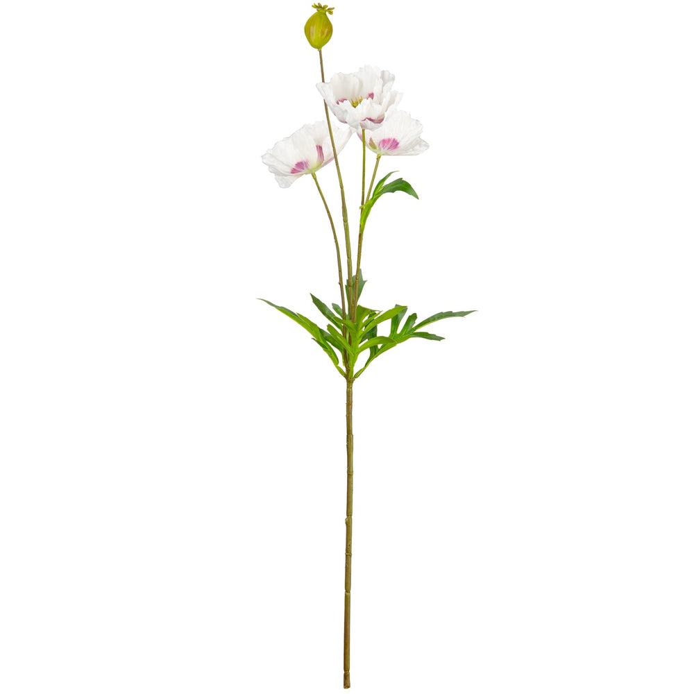 Small Poppy Spray White