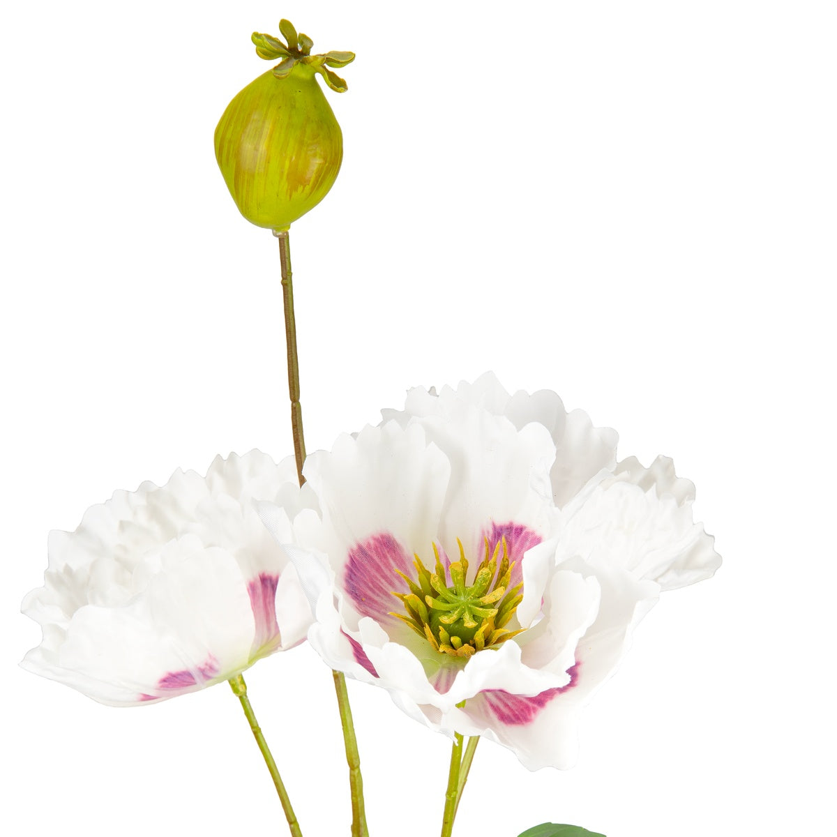 Small Poppy Spray White