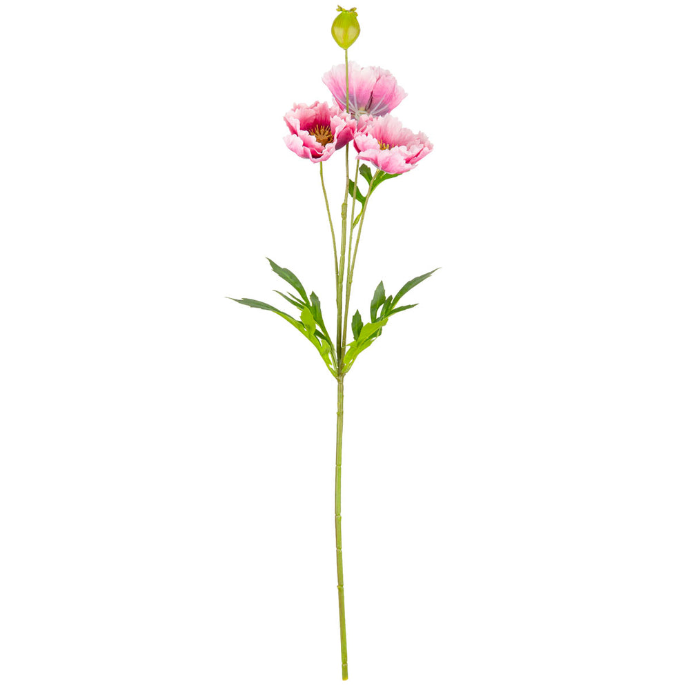 Small Poppy Spray Pink