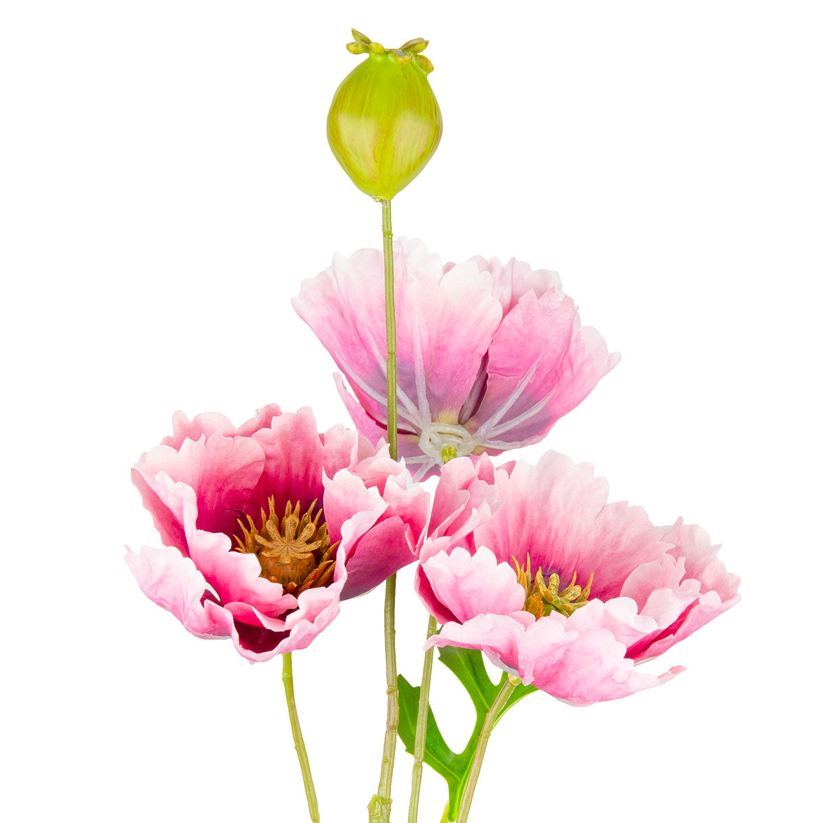 Small Poppy Spray Pink