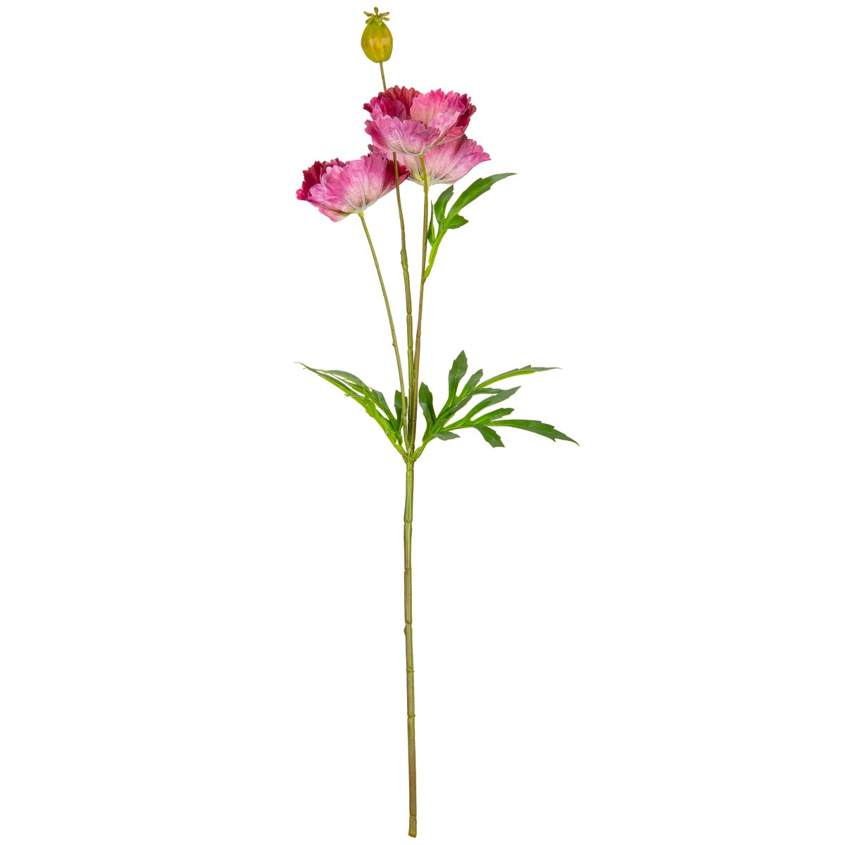 Small Poppy Spray Dusky Rose