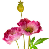 Small Poppy Spray Dusky Rose