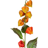Chinese Lantern Orange/Red