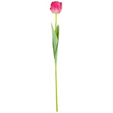 Single Stem Tulip Pink