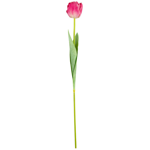 Single Stem Tulip Pink