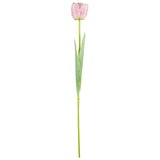 Single Stem Tulip Light Pink