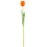 Single Stem Tulip Dark Orange