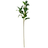 Magnolia Leaf Green