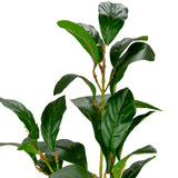 Magnolia Leaf Green
