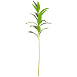 Lily Leaf Green