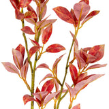 Laurel Fig Leaves Red/Brown