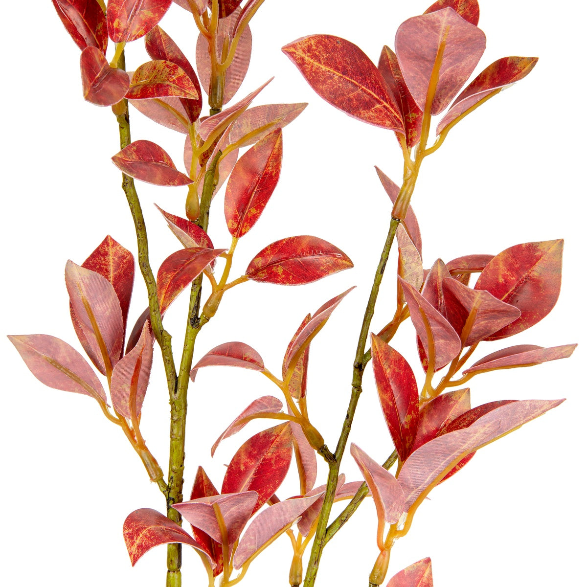 Laurel Fig Leaves Red/Brown