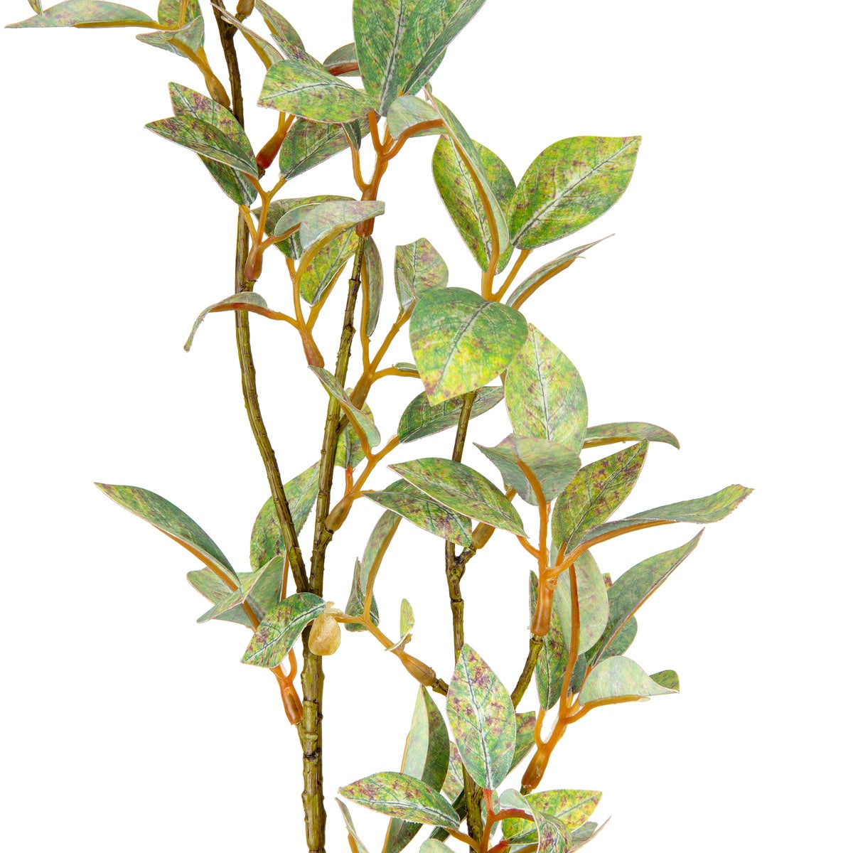Laurel Fig Leaves Light Green