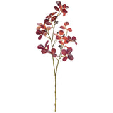 Crape Myrtle Leaves with Fruit Burgundy