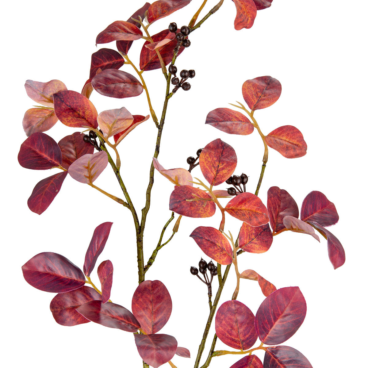 Crape Myrtle Leaves with Fruit Burgundy