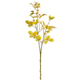 Crape Myrtle Leaves with Fruit Yellow/Green