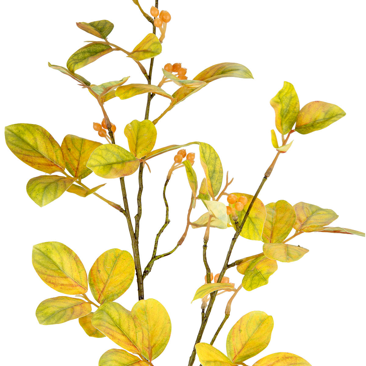 Crape Myrtle Leaves with Fruit Yellow/Green