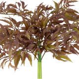 Japanese Parsley Bush Burgundy